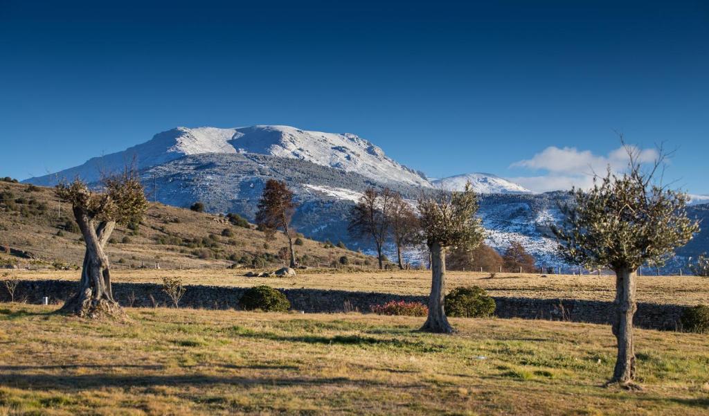 Izan Puerta de Gredos photo 4