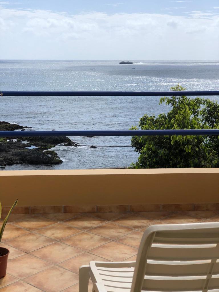 Splendid Guest Suite with Separate Private Ocean View Terrace photo 4