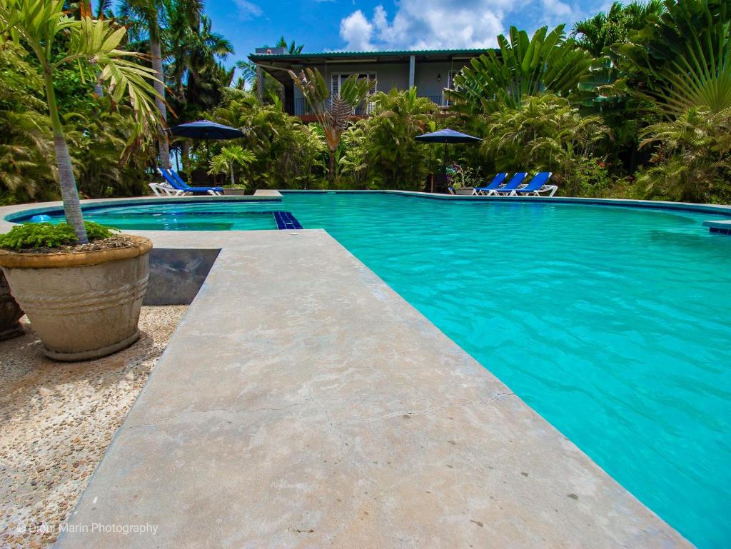 Almond Tree Hotel Resort photo 2