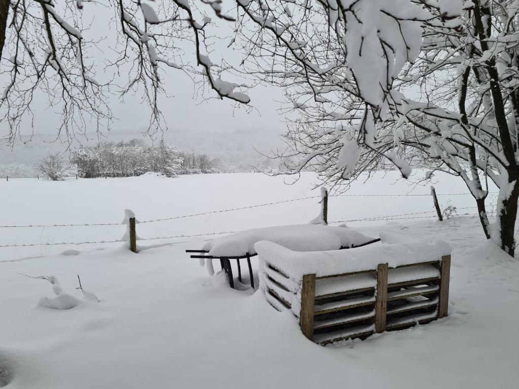 B&B Au Coq en Pate photo 1