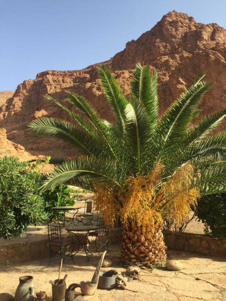 Auberge Le Festival Todra Gorge photo 1