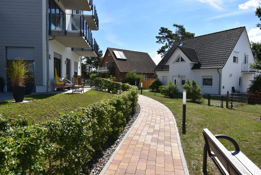 Kleine Robbe photo 3