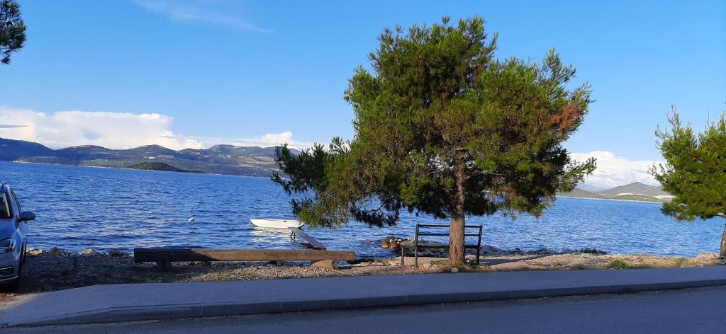 Apartmani Ola photo 2