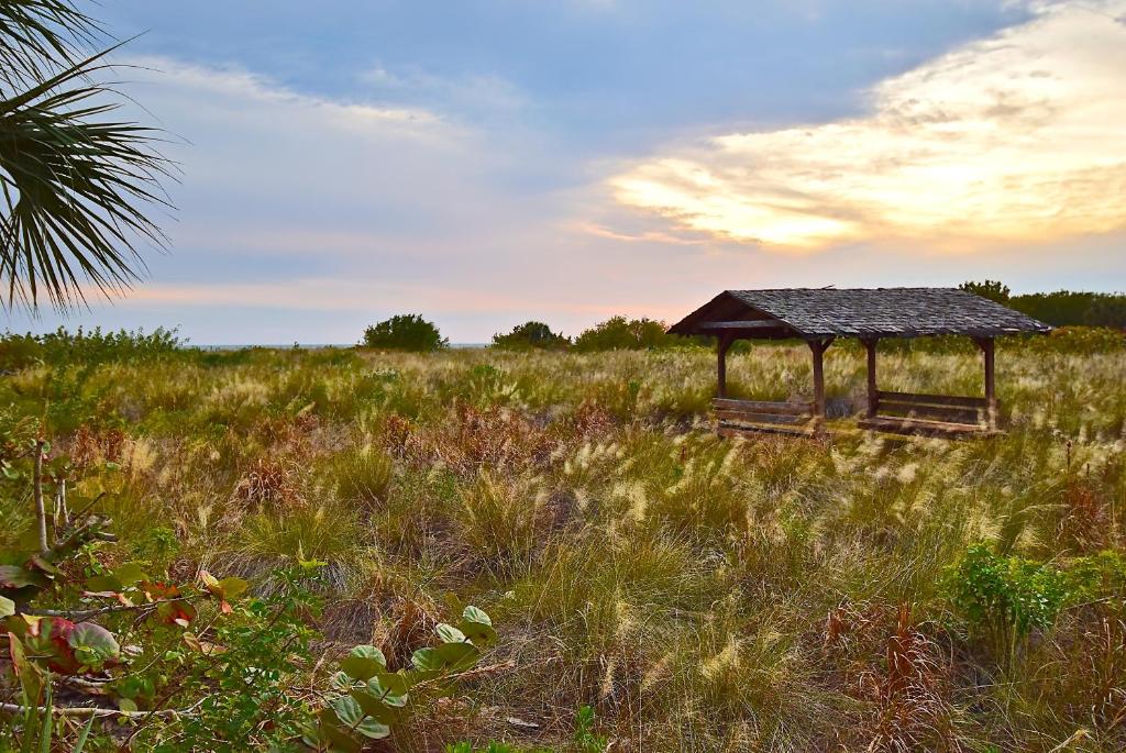 Direct Beachfront Delight by Beachside Management image