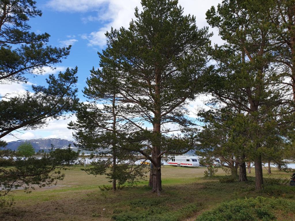Solvang camping og leirsted photo 1