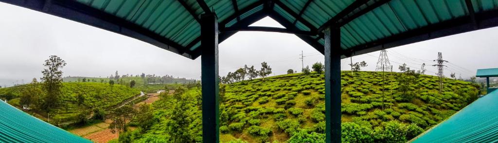 Flamingo's Nuwara Eliya photo 4