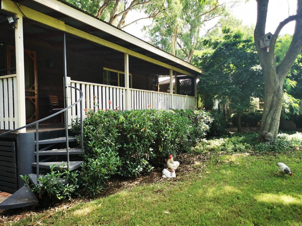 Peaceful cabin in a rural setting 2km from CBD photo 2