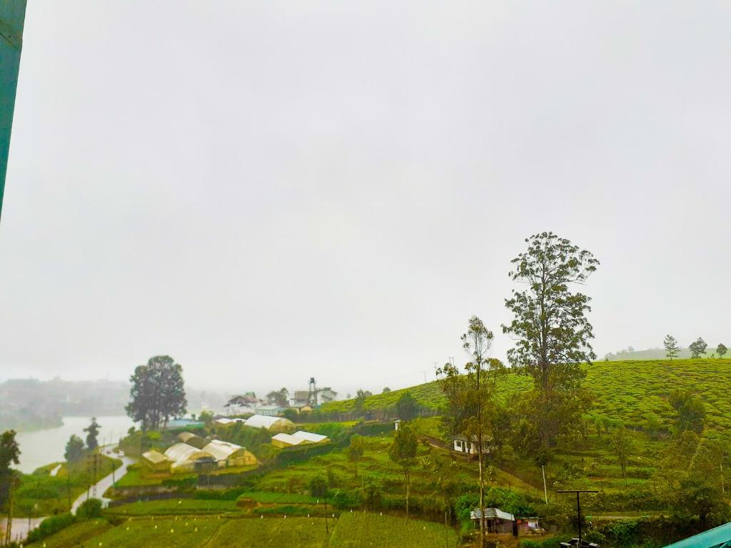 Flamingo's Nuwara Eliya photo 3