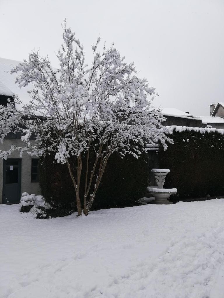 Le domaine des 3 marmottes Chambres d' hôtes photo 3