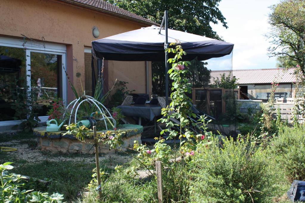 Au bois de mon coeur photo 4