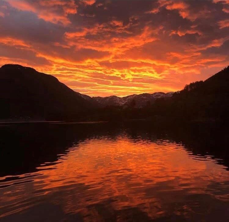 Kjøsnes Feriehytter photo 3