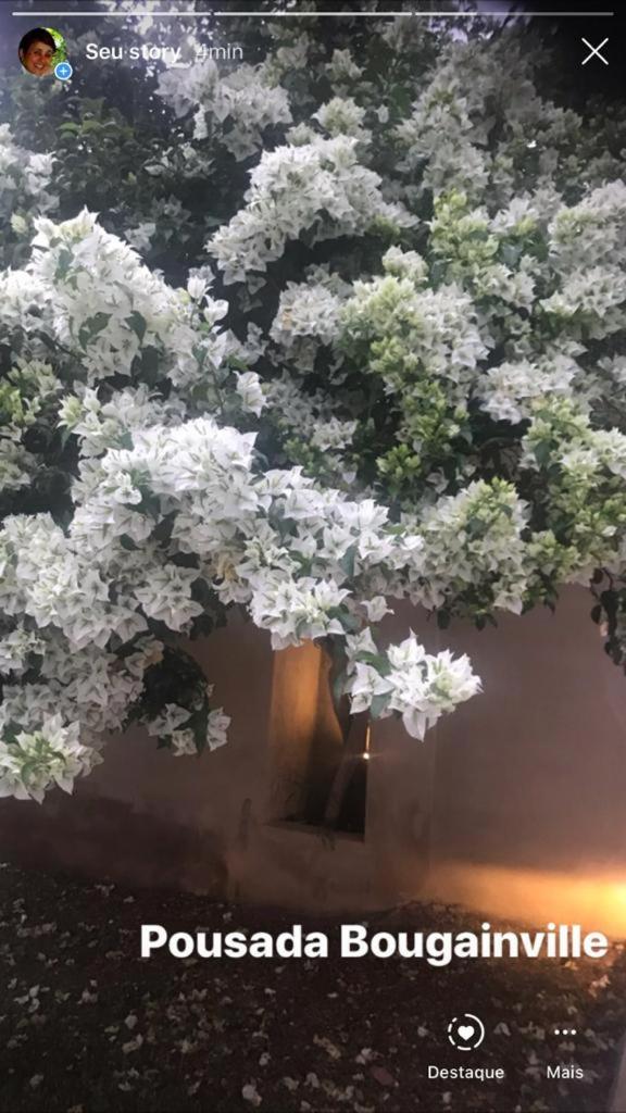 Pousada Bougainville photo 3