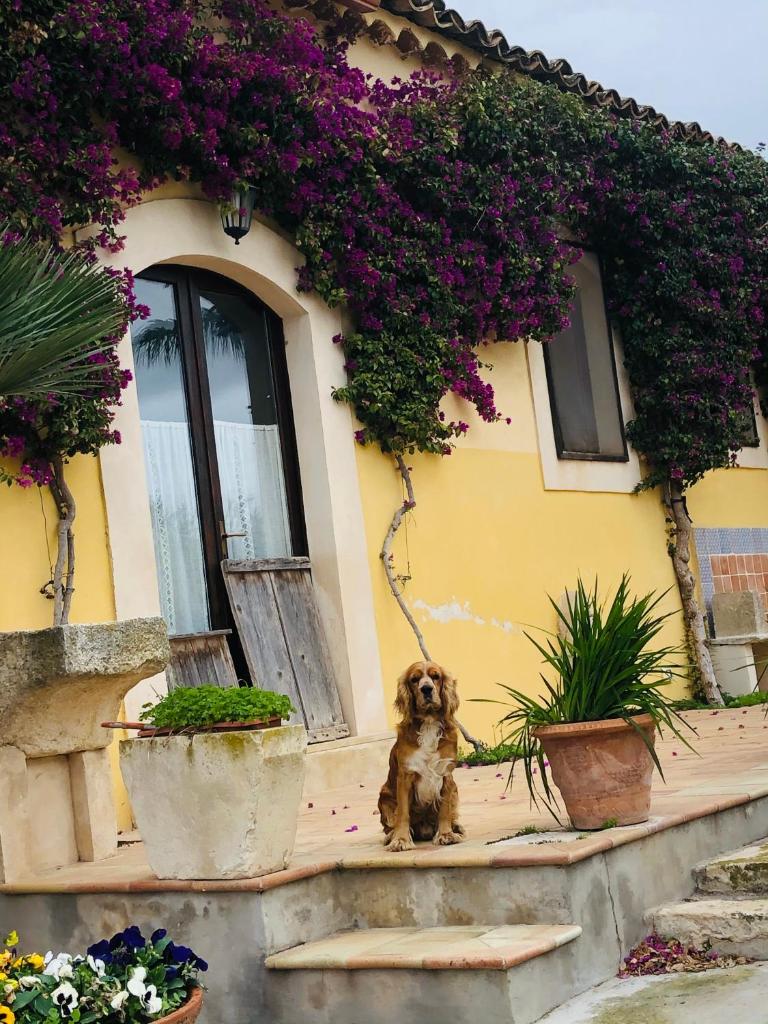Casale Rocca Fiorita photo 3