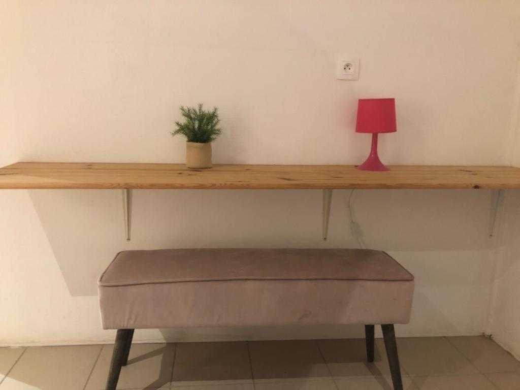 La canne à sucre photo 4