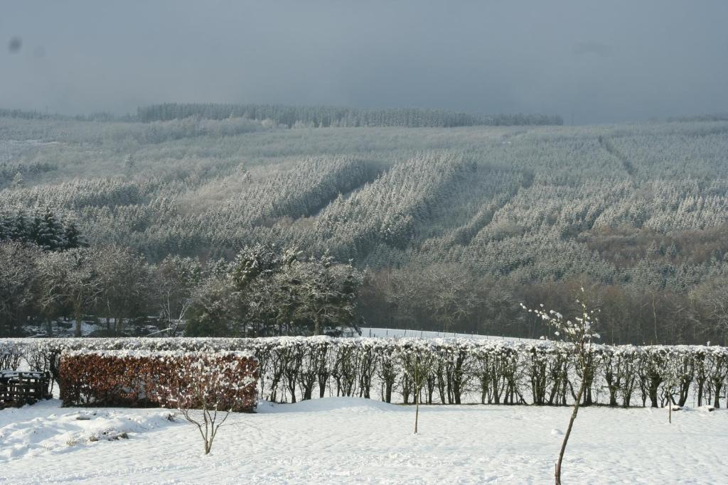 The View photo 2