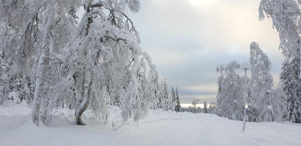 Semesterhus i Hälsingland nära Hassela skidbacke och strand photo 3