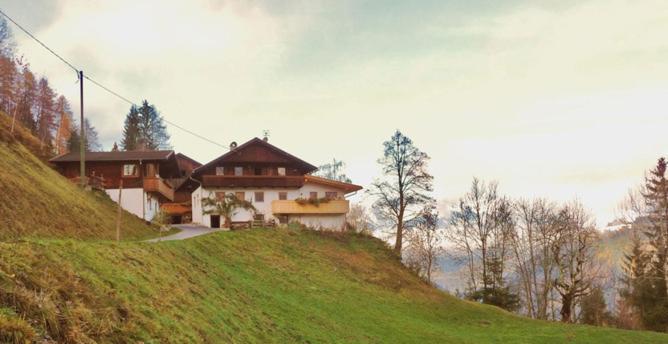 Rastnerhof photo 3