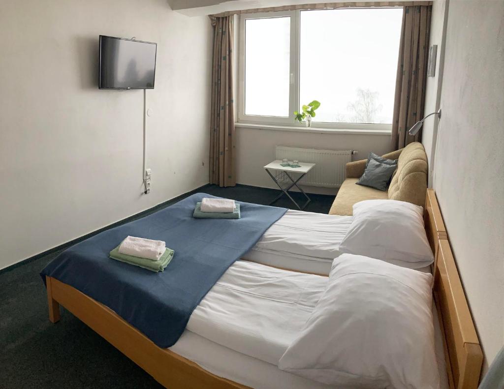 Двухместный (Двухместный номер с 1 кроватью или 2 отдельными кроватями, вид на озеро), Penzion Kozí Horka u Brněnské přehrady