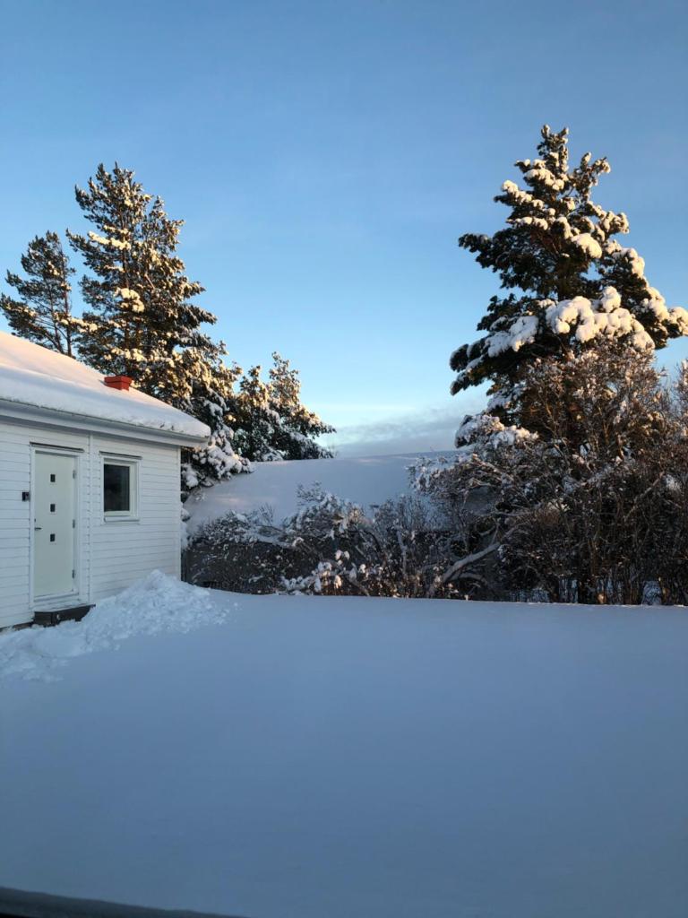 Great Stay Guest House Sandviken photo 1