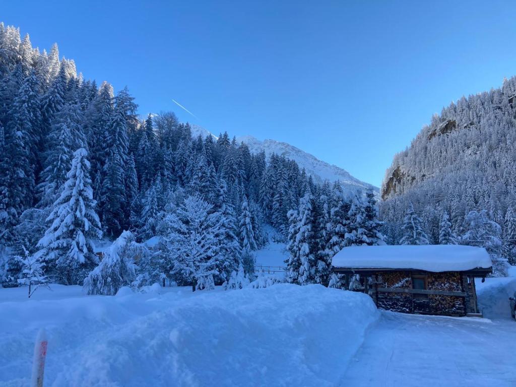Haus Alpengruss photo 3