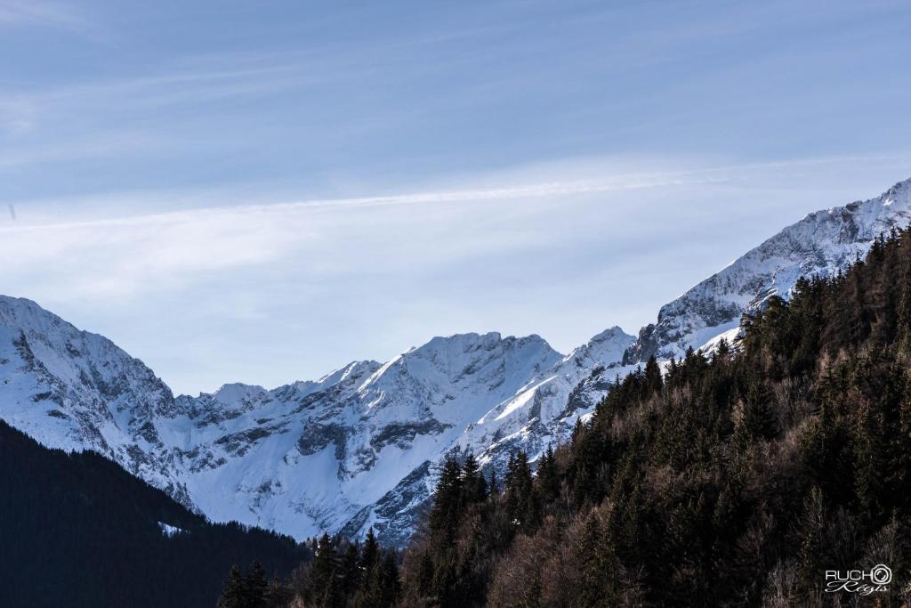 Auberge De La Foret photo 1
