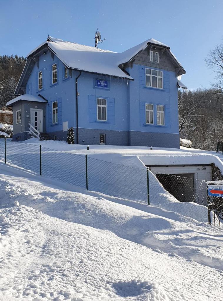 BLUE PENSION Villa photo 3