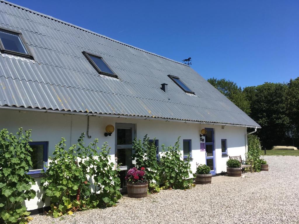 Rolsø Retreat photo 3