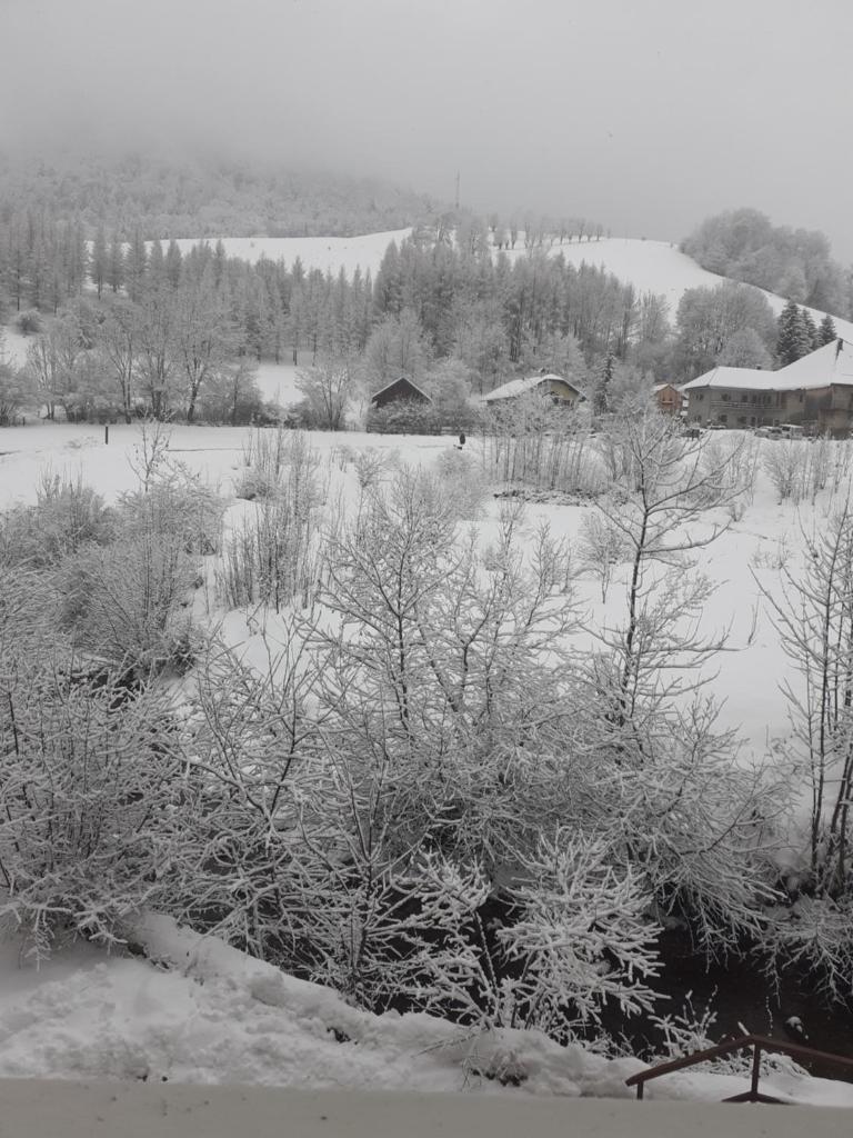 Le rossane photo 1