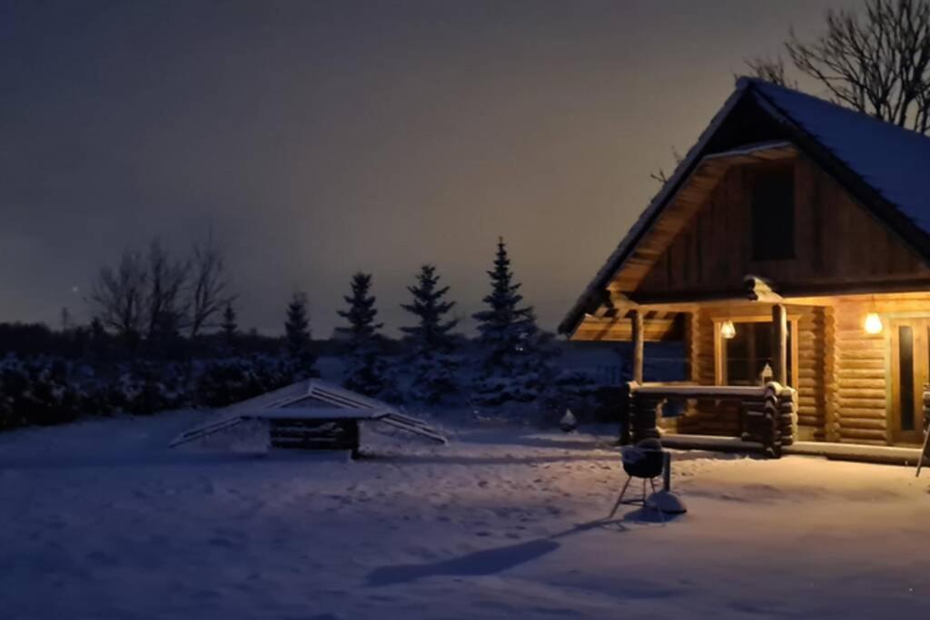 Romantic stay at loghouse VäikeTeeMaja photo 2