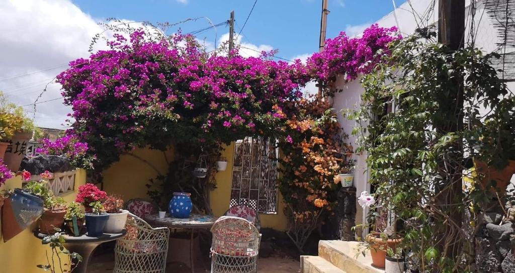 Casa De Gato Rustic Finca photo 3