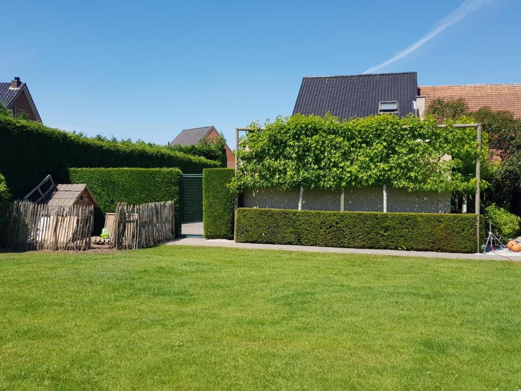 De achtertuin photo 4