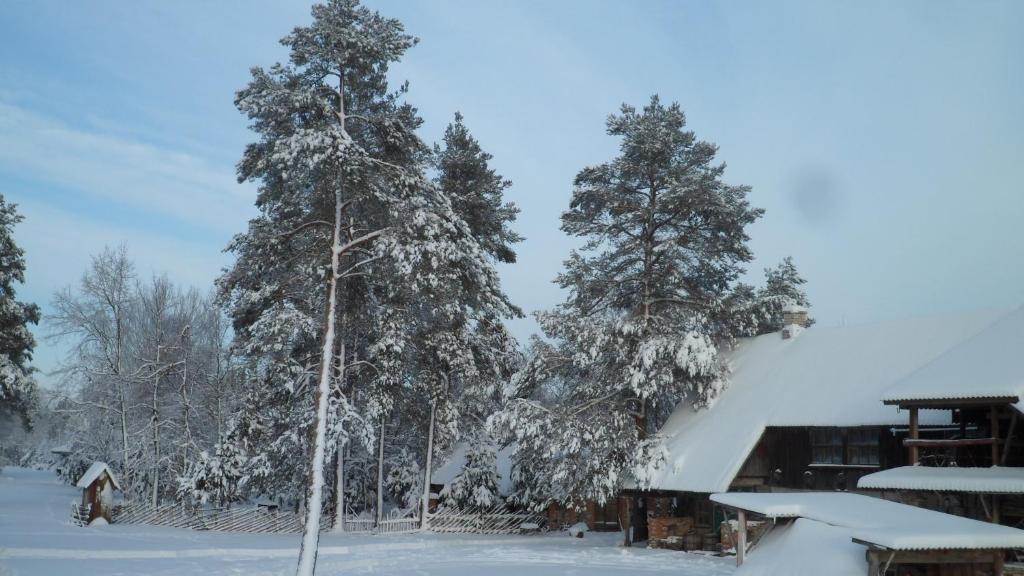 Viruna Farm photo 1