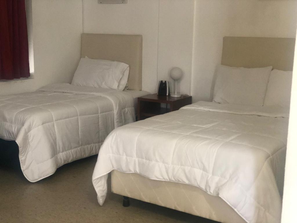 Coral Garden Hotel photo 3