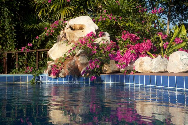 Tafelberg detached bungalow with swimming pool photo 1