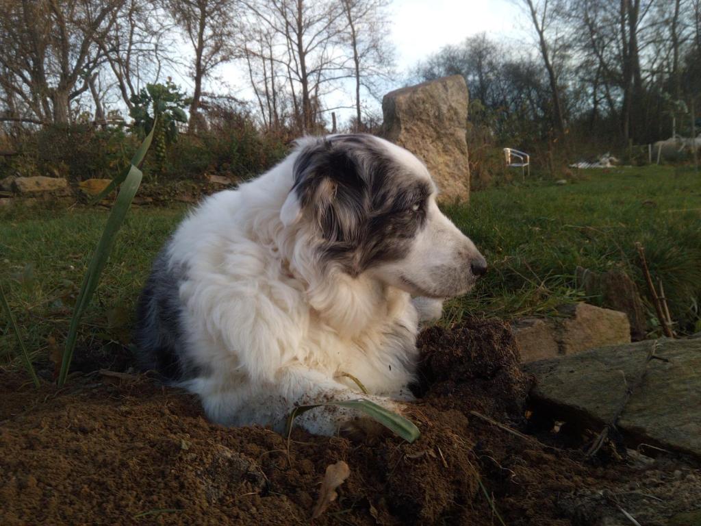 BioFarma Dolejší Mlýn photo 3