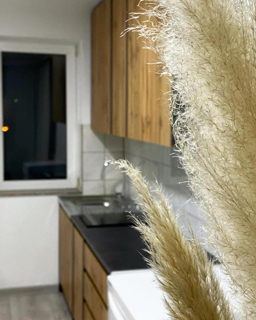 Modern Lux Apartment photo 4