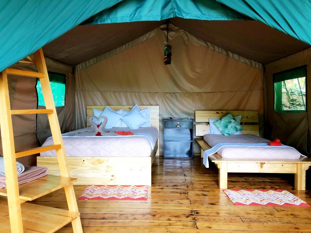 Tami Lodge photo 3