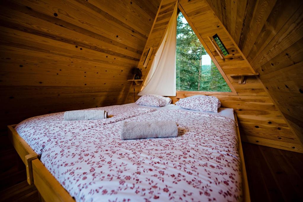 Glamping FOREST EDGE photo 2