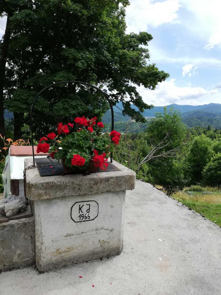 Zeleni brig photo 4