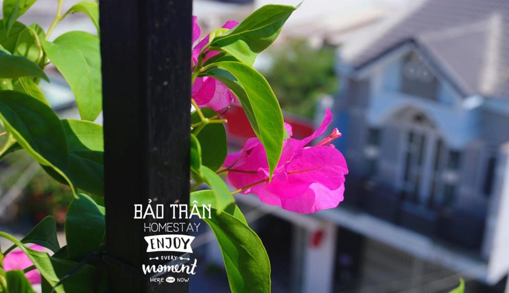 Homestay Bảo Trân