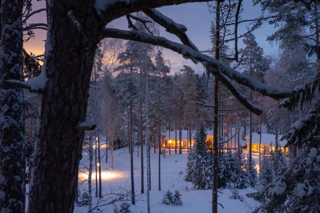 Katve Nature Retreat photo 1