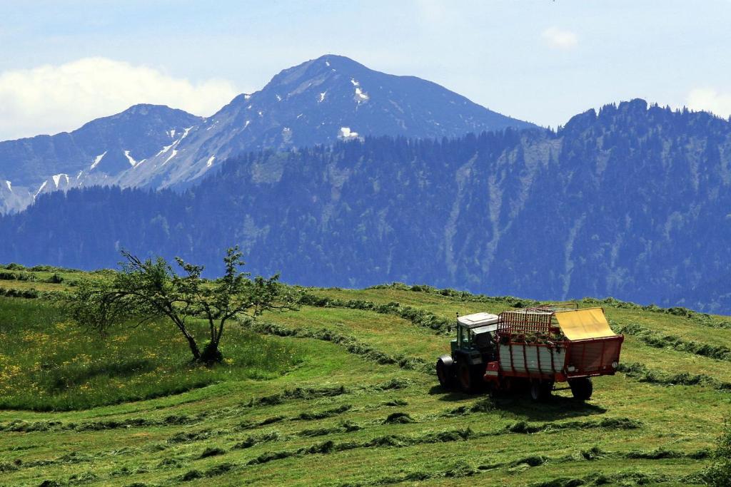 ALPEN WOHLFÜHLQUARTIER photo 2