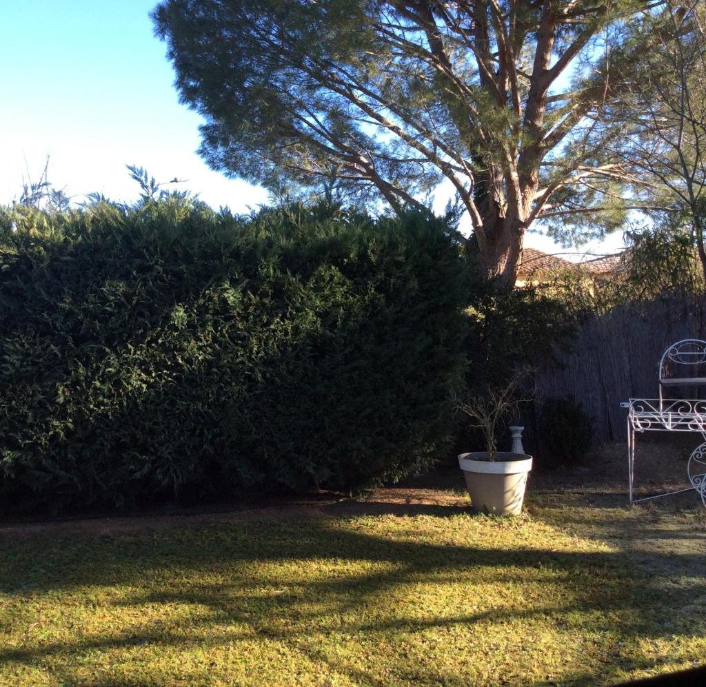 Chalet de Charme photo 2
