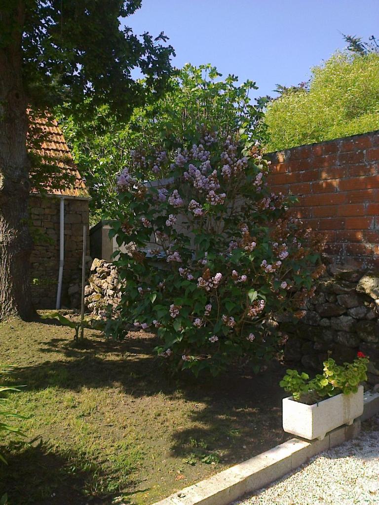 LA VUULE MAISON photo 1