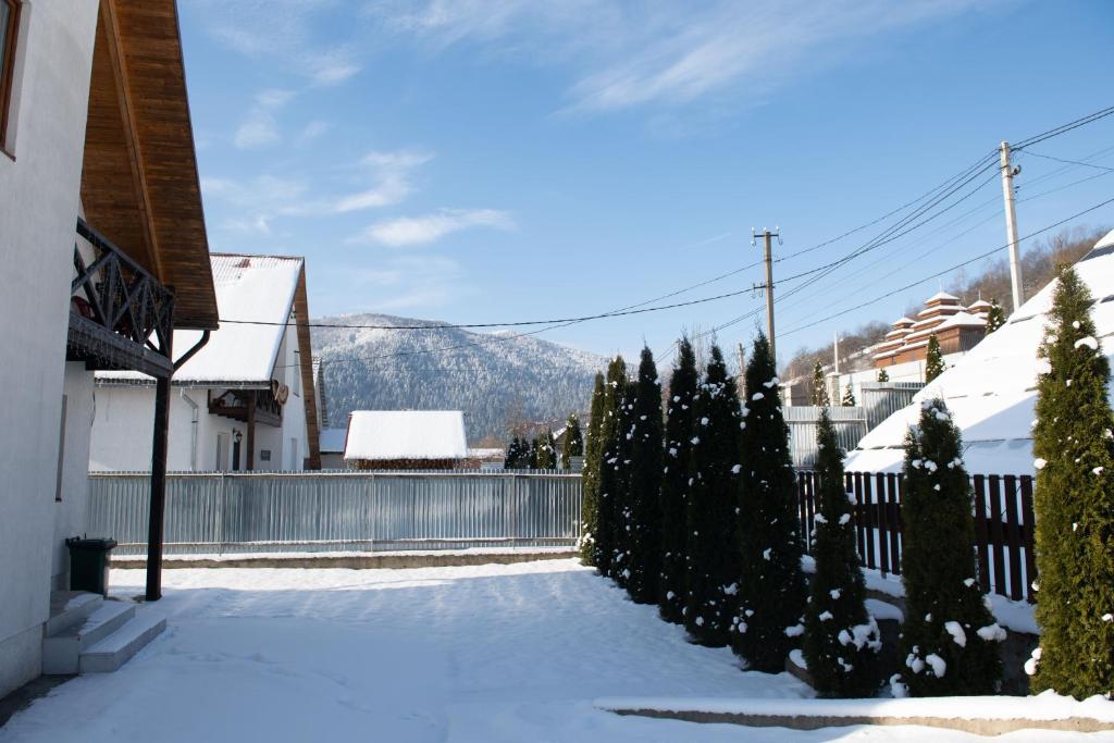 Sunhouse photo 3