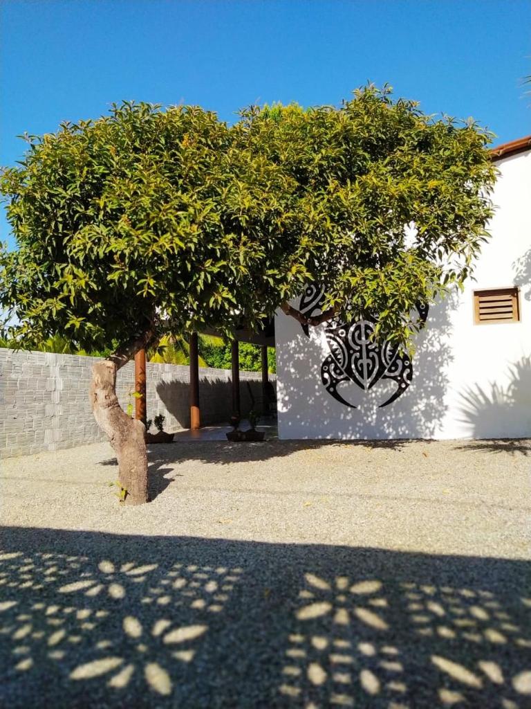 Recanto do Meu Bem photo 1