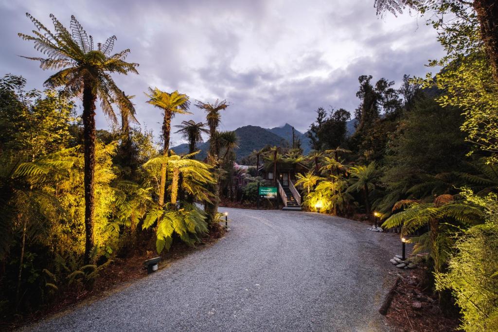 Rainforest Deluxe photo 4