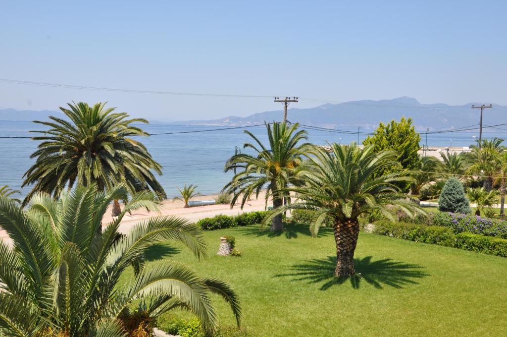 Elena Hotel photo 3