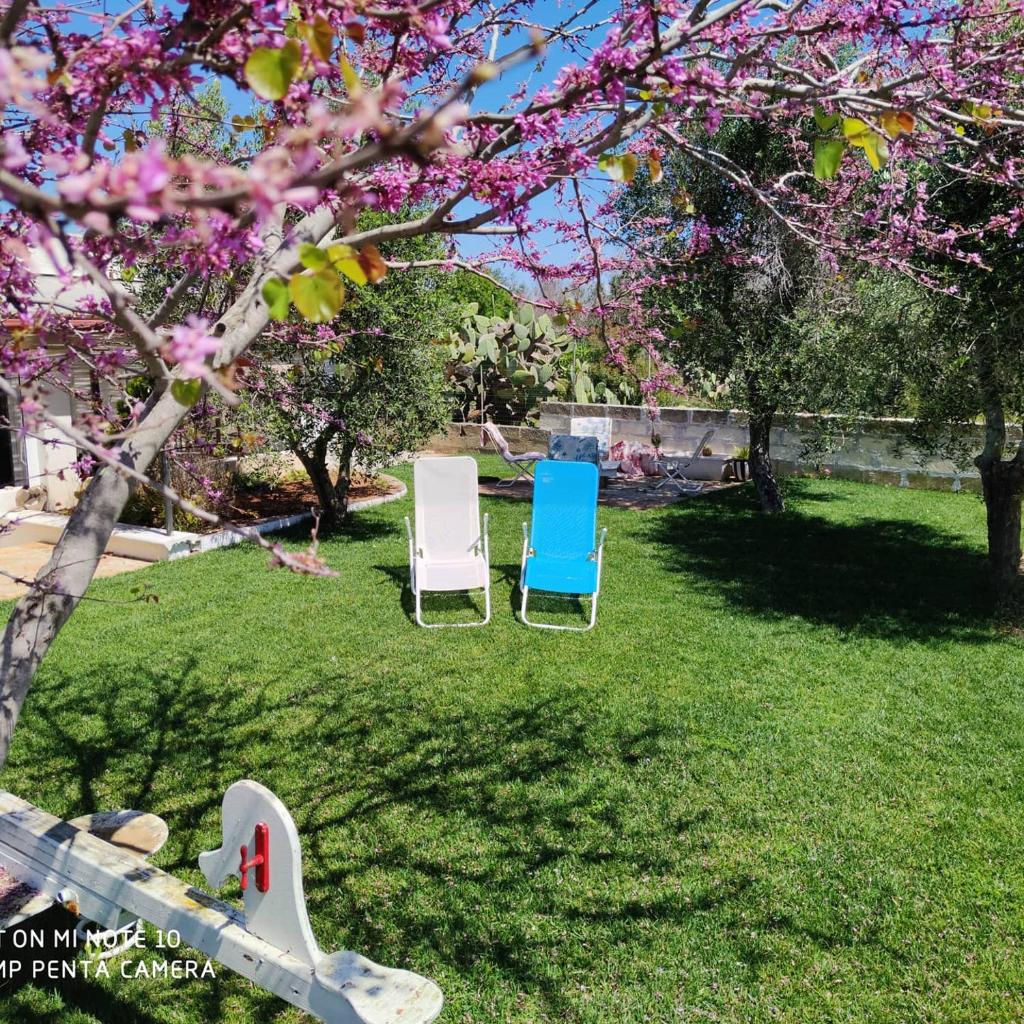 Stella del Sud Guesthouse photo 2