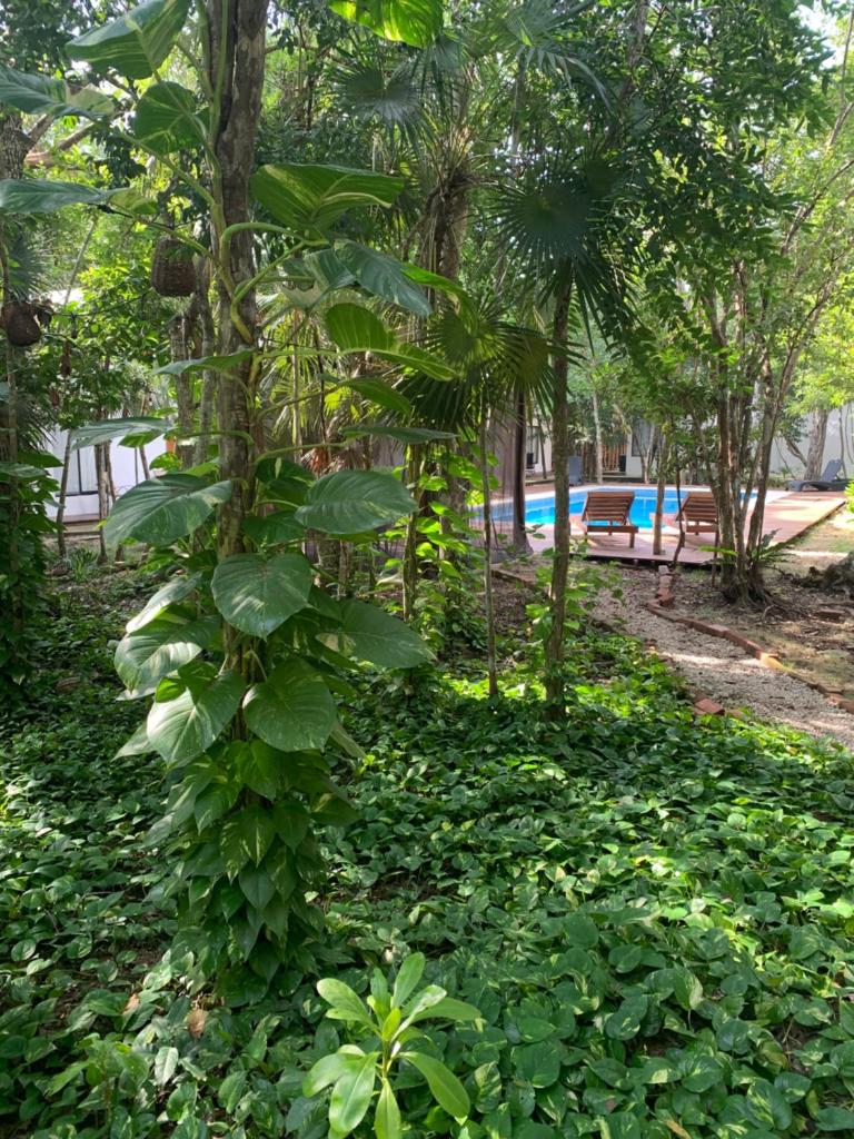 Ecovergel Hotel Riviera Maya photo 2